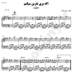نت شماره WNP3105