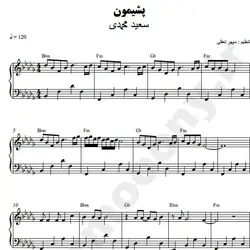 نت شماره WNP3000