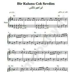 نت شماره WNP2377