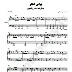 نت شماره WNP2279