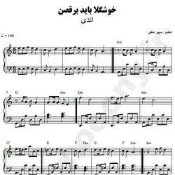 نت شماره WNP2217