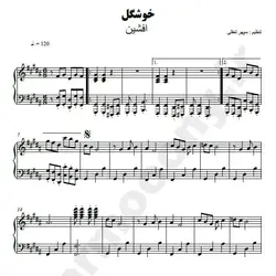 نت شماره WNP2036