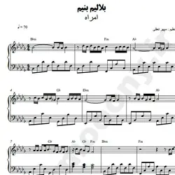 نت شماره WNP2247