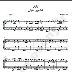 نت شماره WNP1843