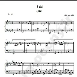 نت شماره WNP1791