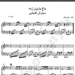 نت شماره WNP1659