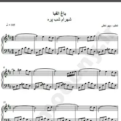 نت شماره WNP1656