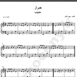 نت شماره WNP1699