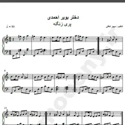 نت شماره WNP1543