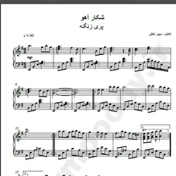 نت شماره WNP1504