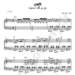 نت شماره WNP1135