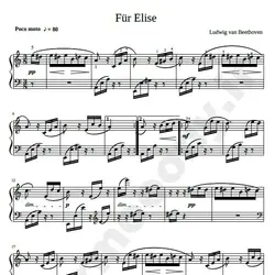 نت شماره  WNP1108