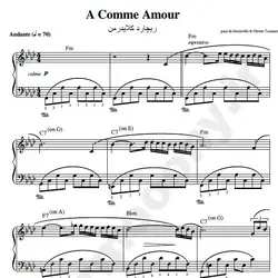 نت شماره WNP1210