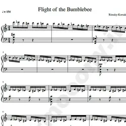 نت شماره  WNP1104