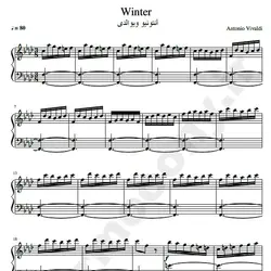 نت شماره WNP1199