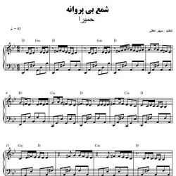 نت شماره WNP5901