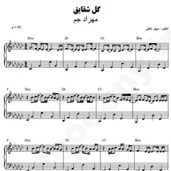 نت شماره WNP6036