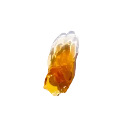 ژل لاغری BYPHASSE حاوی جلبک نوری و سویا