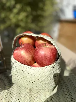 سبد دسته دار حصیری