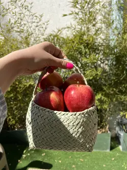 سبد دسته دار حصیری