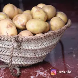 سبد حصیری (سَبت)