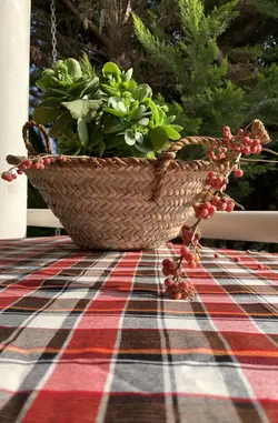 سبد حصیری (سَبت)