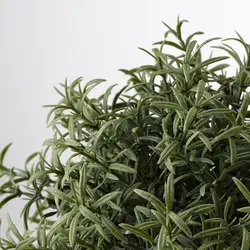 گیاه گلدان مصنوعی، رزماری FEJKA