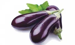 بادمجان ۱ کیلوگرمی ± ۸۰ گرم