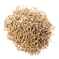 تخم گشنیز ۱۰۰ گرمی