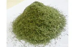 شوید خشک ۱۰۰ گرمی