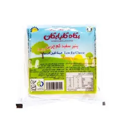 پنیر سفید کم چربی (رژیمی) پگاه گلپایگان ۳۵۰ گرمی