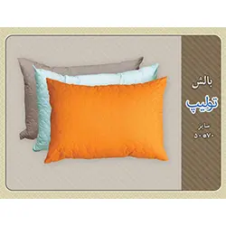 بالش تولیپ - ابر گوارشکی