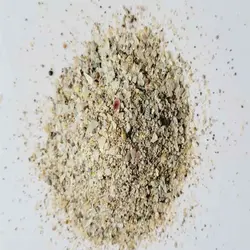 شن دریا رنگ روشن