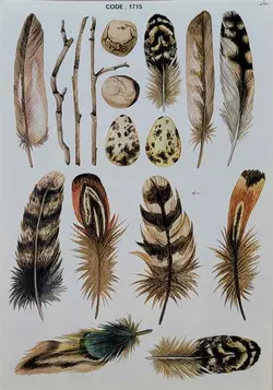 ترانسفر کد 1715