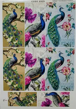 ترانسفر کد 929