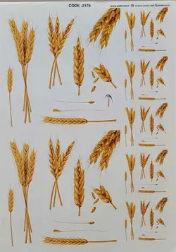 ترانسفر کد 2176