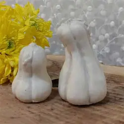 قالب سیلیکونی کدو