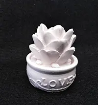 قالب کاکتوس