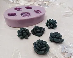 قالب کاکتوس 5 عددی