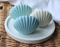 قالب سیلیکونی صدف