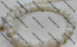 صدف گرد سایز 8