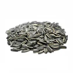 تخمه آفتاب گردان دور سفید خام – 100 گرم