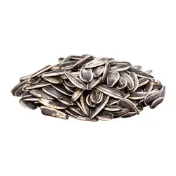 تخمه آفتابگردان دور سفید خام