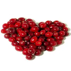 زغال اخته تر