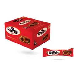 رامتین فندوقی