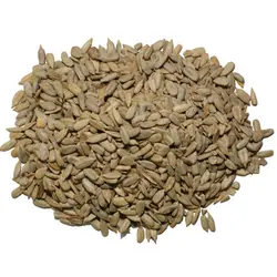 مغز تخمه آفتابگردان