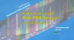 دوره آموزش Bulk RNA-Seq