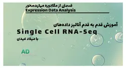 دوره آموزش Single Cell RNA-Seq