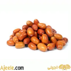 سنجد