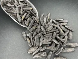 تخمه شمشیری نمکی